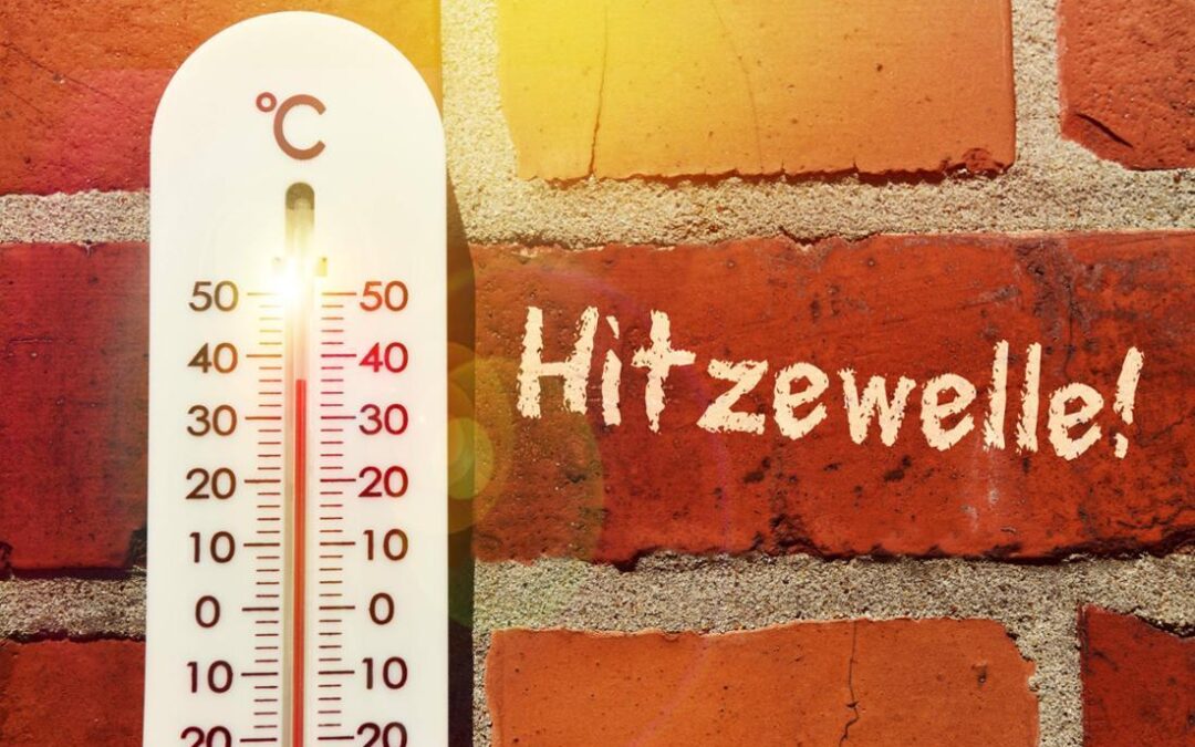 Wenn die Sonne zum Problem wird – Sonnenschutzfolien als Lösung